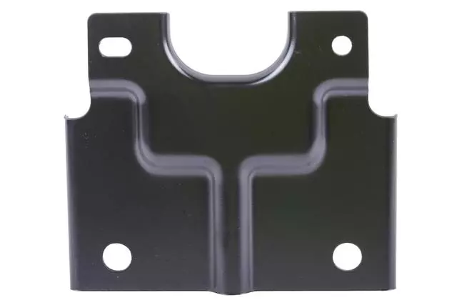 F Bracket - GM (98041162)