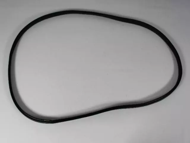 4575226AB - Body: Weatherstrip for Chrysler: Concorde, LHS Image