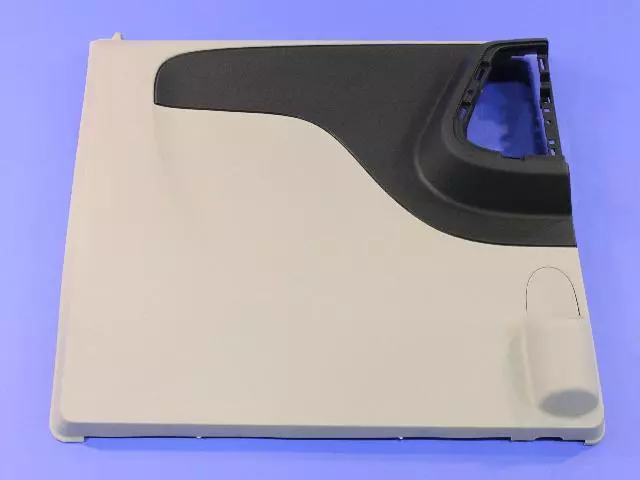 1UU41BD1AA - Body: Door Trim Panel for Chrysler: Town &amp; Country | Dodge: Grand Caravan | Ram: C/V Image