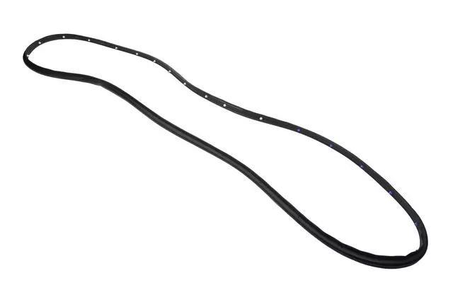 Rear Driver Side Door Weatherstrip - GM (84011071)