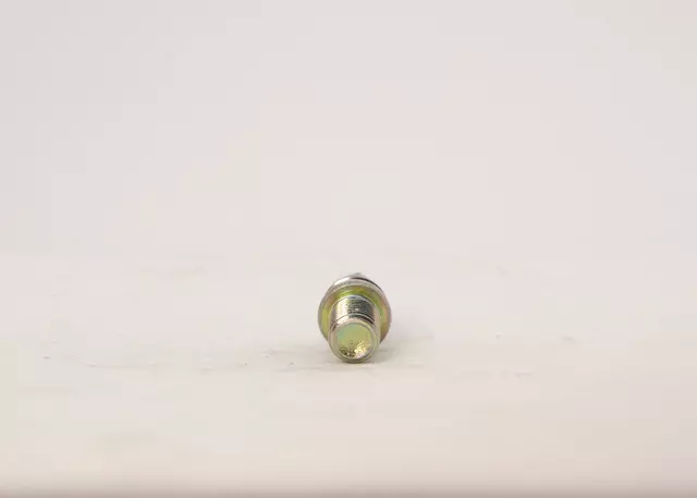 Steering Lock Bolt - Honda (35102-SV4-003)