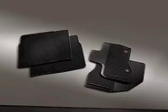 Floor Mats, All Weather Set - Ford (DB5Z-7813086-BA)