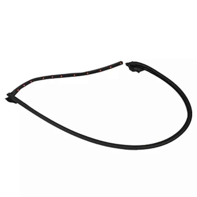 2010-2013 Ford Transit Connect - Door Weather-Strip - Ford (2T1Z-1525325-A)