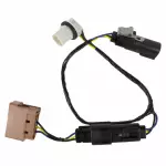 DB5Z13A006A - : Socket &amp; Wire for Ford: Police Interceptor Utility Image