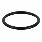 RTS1086 - Cooling System: Motorcraftâ„¢ Lower Hose O-Ring for Ford: F-250 Super Duty, F-350 Super Duty, F-450 Super Duty, F-550 Super Duty Image