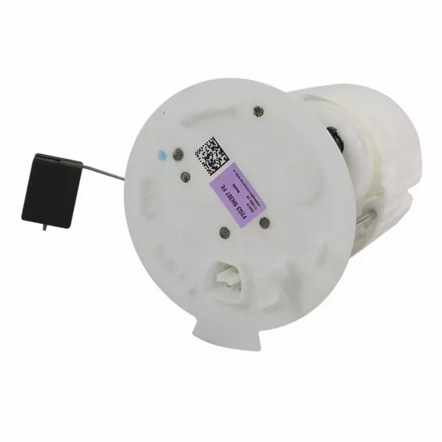 F2GZ9H307F - : Fuel Pump for Ford Image