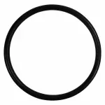 BC3Z00815A - : 2011-2016 Ford - Thermostat O-Ring for Ford: F-250 Super Duty, F-350 Super Duty, F-450 Super Duty, F-550 Super Duty Image