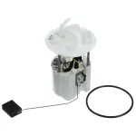 FG1244 - : Fuel Pump Module Assembly for DELPHI Image