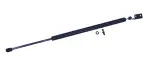 610878 - : Liftgate Lift Support for Tuff Support Image