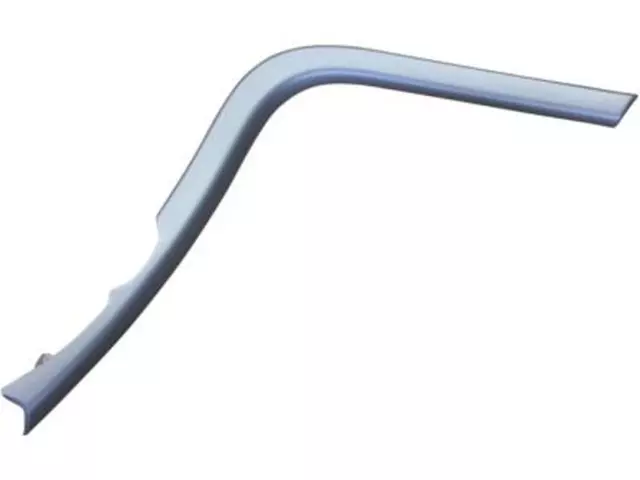 Trim Molding - Ford (DT4Z-78061A16-AA)