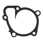 36168 - : Engine Water Pump Gasket for FEL-PRO Image