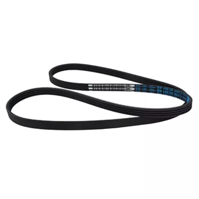 Motorcraft™ Serpentine Belt - Ford (JK4-542-B)