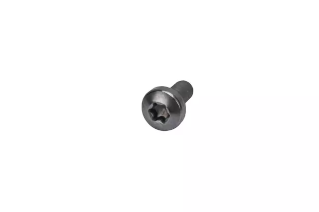 Heat Shield Bolt - GM (12687752)