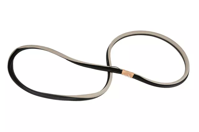 25956332 - Body: Surround Weather-strip for GM Image