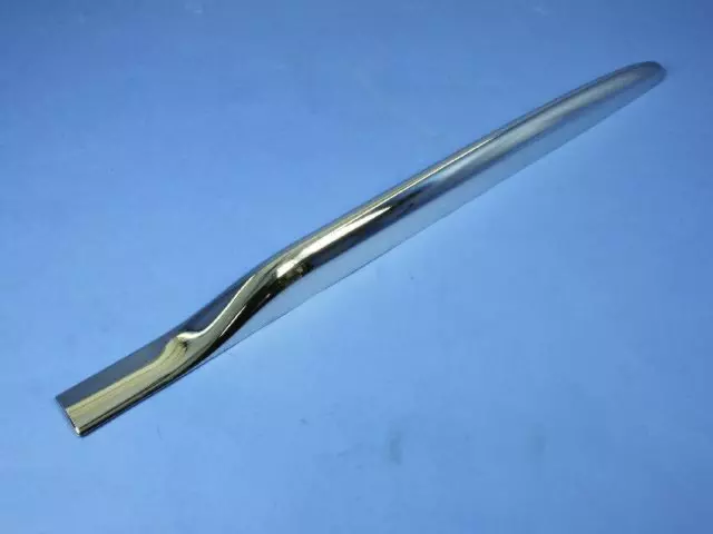 Rear Door Molding - Mopar (5303508aa)