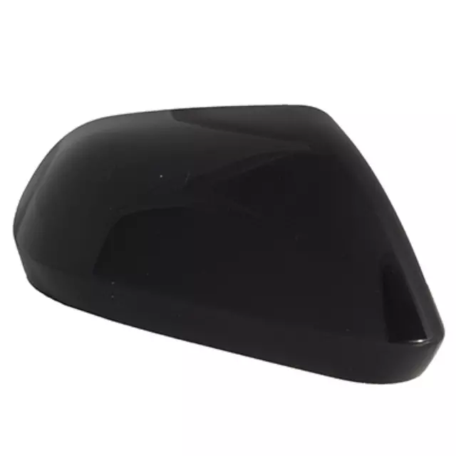 Mirror Cover - Ford (DP5Z-17D742-AAPTM)