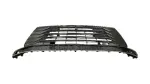 5310208120 - : Lower Grille for Toyota Image
