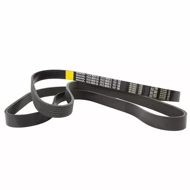 F57Z8620F - Cooling System: Serpentine Belt for Ford: Ranger Image