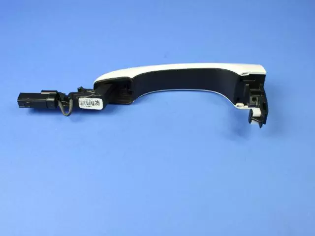 Exterior Door Handle - Mopar (1RH64GW7AH)