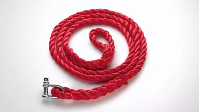 Tow Rope - Audi (8R0-093-054)