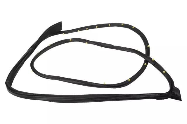 94790531 - Body: Door Weather-strip for Chevrolet: Aveo, Aveo5 | Pontiac: G3 Image