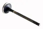 EM2547 - : Engine Exhaust Valve for Enginetech Image