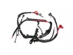 6L3Z14300CA - Electrical: Battery Cable for Ford: F-150 Image