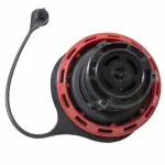 FC1013 - Fuel System: Motorcraftâ„¢ Fuel Cap for Ford Image