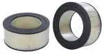 42287 - : WIX Air Filter for WIX Image