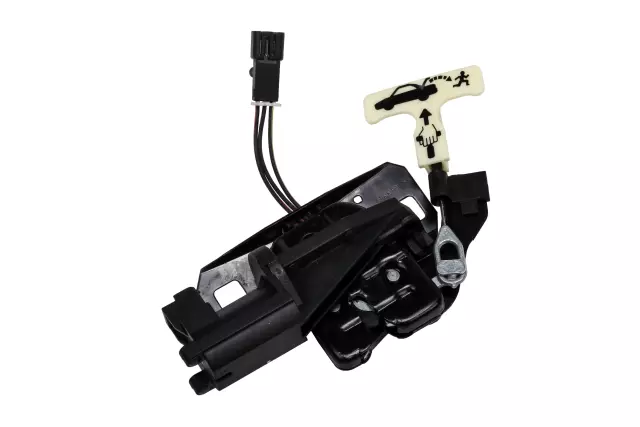 10304039 - Body: Latch for Chevrolet: Impala, Monte Carlo | Pontiac: Grand Prix Image