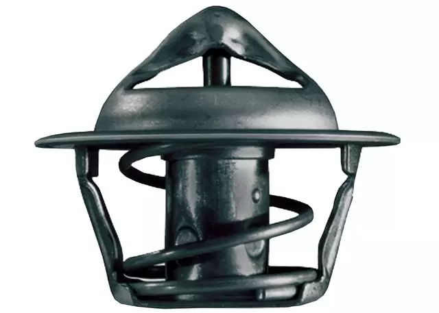 3038094 - Cooling System: Thermostat for Pontiac: LeMans Image image