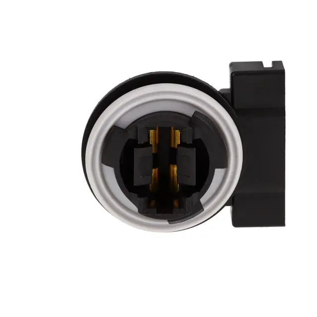 610030 - Electronics: Turn Signal Light Socket for ROSTRA Image