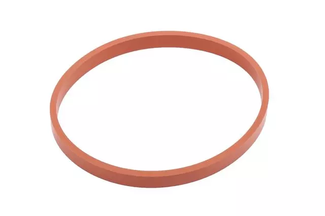 55564973 - Fuel System: Gasket for Chevrolet: Aveo, Aveo5 | Pontiac: G3 Image