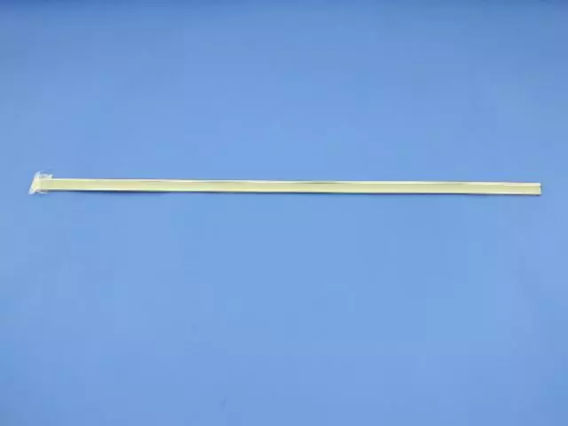 Front Door Molding, Left - Mopar (WG19AP4AC)