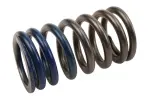 97352888 - : F Spring for GM Image