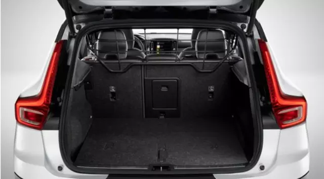 32261313 - Interior: Protective Steel Grille for Volvo Image