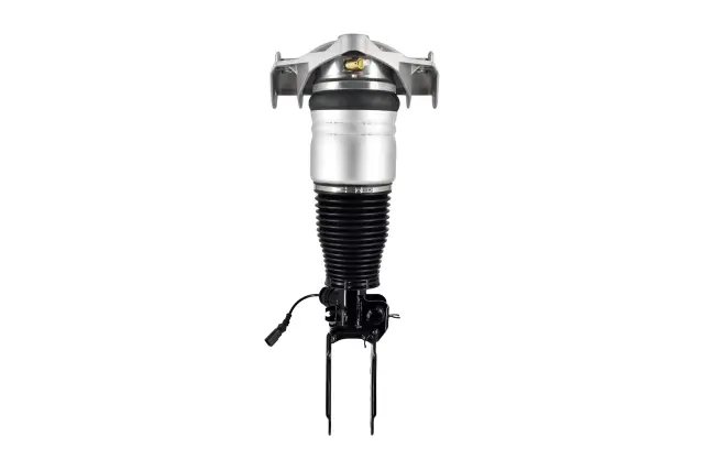 99012 - Suspension &amp; Steering: Focus Auto Parts Air Suspension Strut for Focus Auto Parts Image