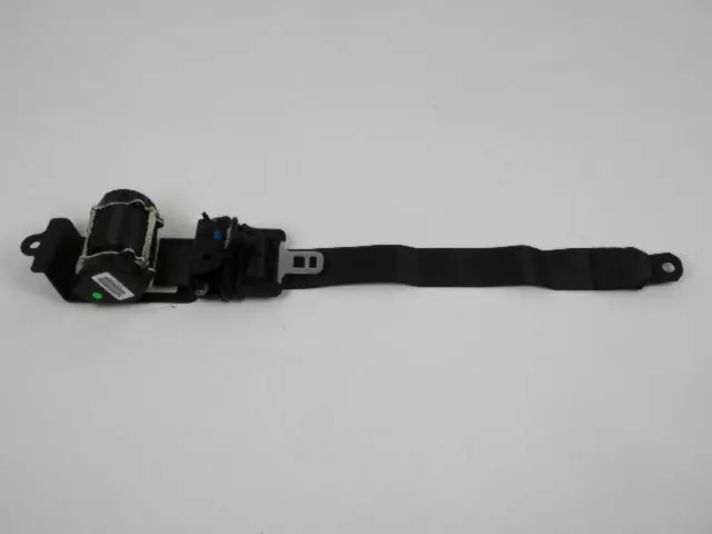 TS771DVAE - Electrical: Outer Belt for Chrysler: Pacifica Image