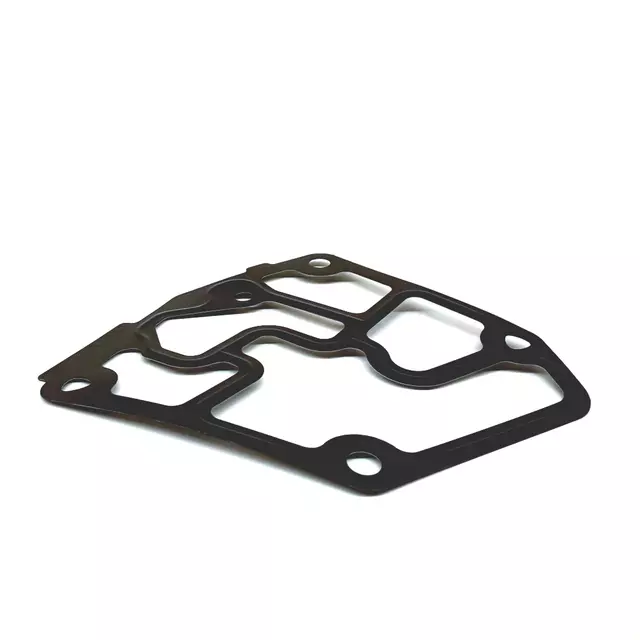 38115441A - : Engine Oil Filter Adapter Gasket for Volkswagen: Beetle, Golf, Jetta, Passat Image