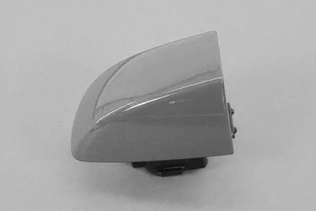 1RH66KRAAD - Doors, Door Mirrors and Related Parts: Outside Door Handle Bezel, Right for Mopar Image image