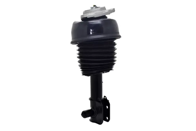 92012 - Suspension &amp; Steering: Focus Auto Parts Air Suspension Strut for Focus Auto Parts Image
