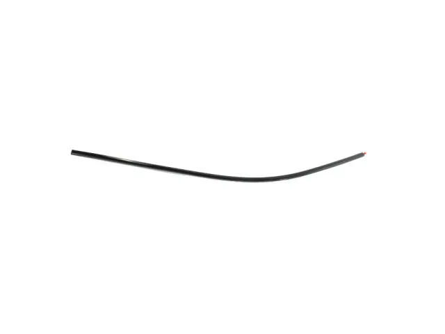 68257476AD - Exterior Ornamentation: Day Light Opening Molding, Right for Mopar Image