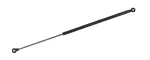 610453 - : Liftgate Lift Support for Tuff Support Image