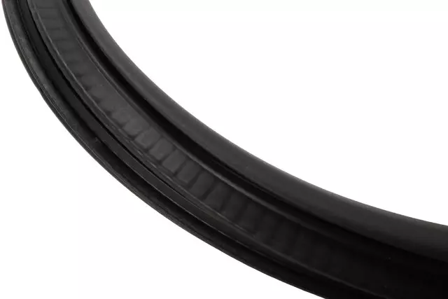 Rear Side Door Weatherstrip - GM (84655164)