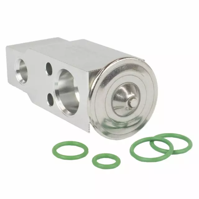 Valve Assembly Evaporator Expansion - Ford (QYG-115)