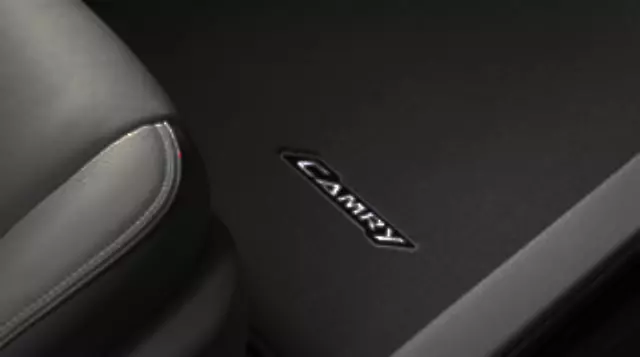 PT2060318202 - Cargo Management: Cargo Area Mat, Carpet, Black for Toyota Image