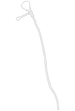 278010147264 - : Engine Oil Dipstick for Mercedes-Benz Image