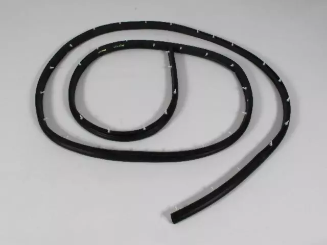 Weatherstrip - Mopar (04217552)