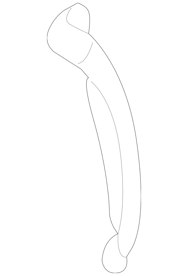 2036372936 - Side Panels: End Part for Mercedes-Benz: 180C, C230, C240, C280, C32 AMG, C320, C350, C55 AMG, CLK320, CLK350, CLK500, CLK55 AMG, CLK550, CLK63 AMG Image image