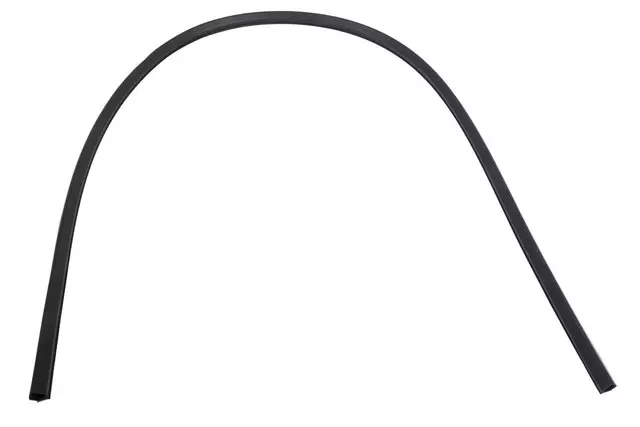 Hood Rear Weatherstrip - GM (22856052)